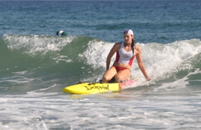 Board surf 291